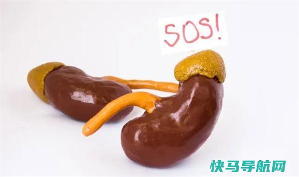 药物是如何影响肾脏的 哪些人可能会患上慢性肾病